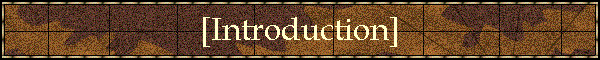 [Introduction]