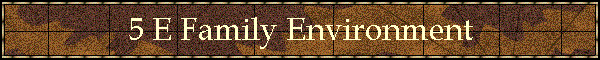 5 E Family Environment